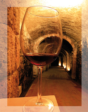 A cellar along the Sentiero della Bonifica